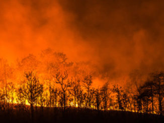 forest fire close to homes