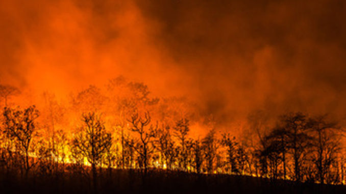 forest fire close to homes